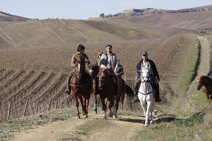 Italy: Sicilia - la rotta del vino