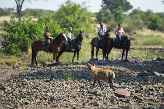 Botswana: Safari a cavallo nella riserva tuli, valle del limpopo.