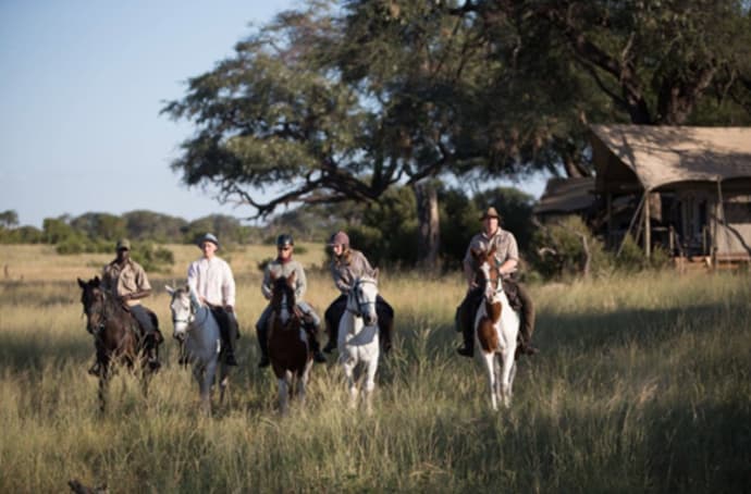 Hwange national park
