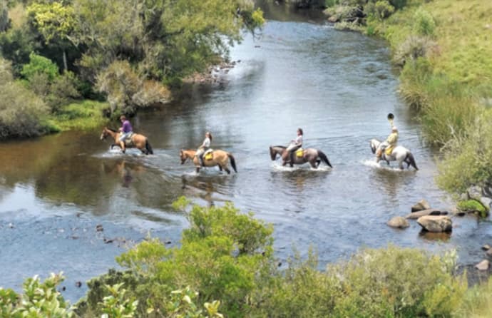 Brasile: Rio grande do sul: canyon e cascate