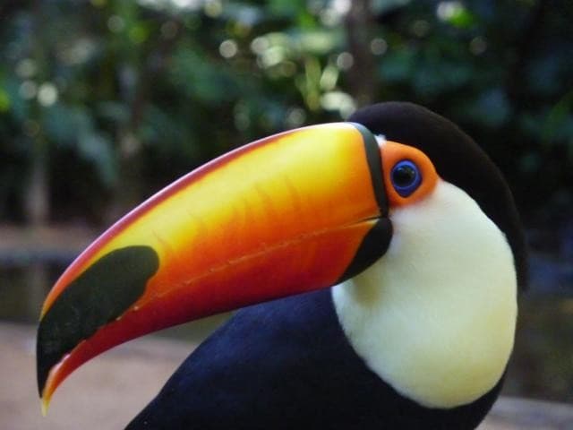 Argentina para Armar + Extensión Salta