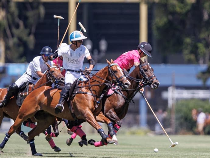 Cordoba/mendoza: scoprire il polo