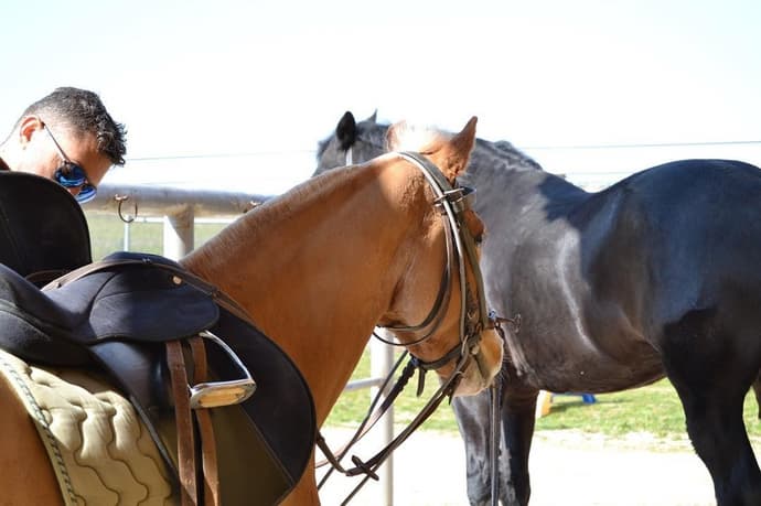 Italy - Basilicata: the stones of matera and the murgia materana park