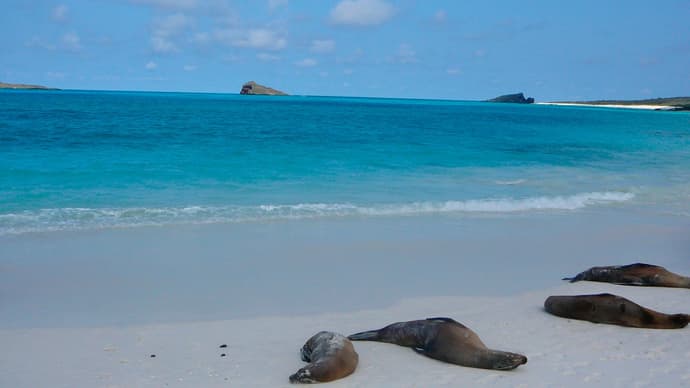 Galapagos Inter Islas Isabela y Santa Cruz 1 Navegacione - 5 Días
