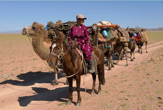 The steppe of Gobi Desert