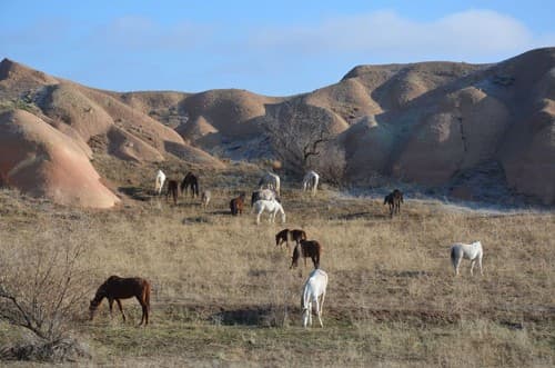Discovering Cappadocia