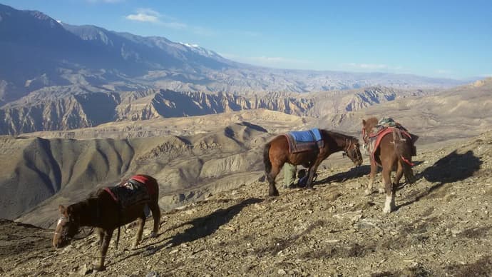 Mustang district: horseback adventure in the last "forbidden kingdom"