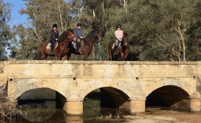 Andalusia: piste andaluse