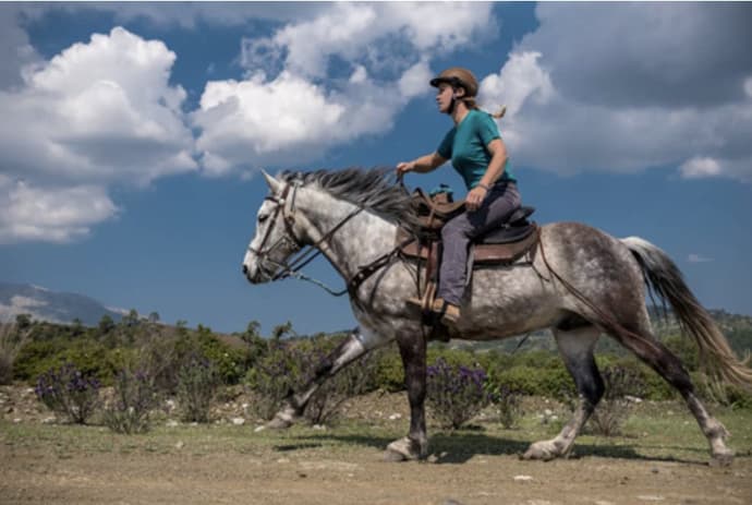 Rodi, l'isola del sole
