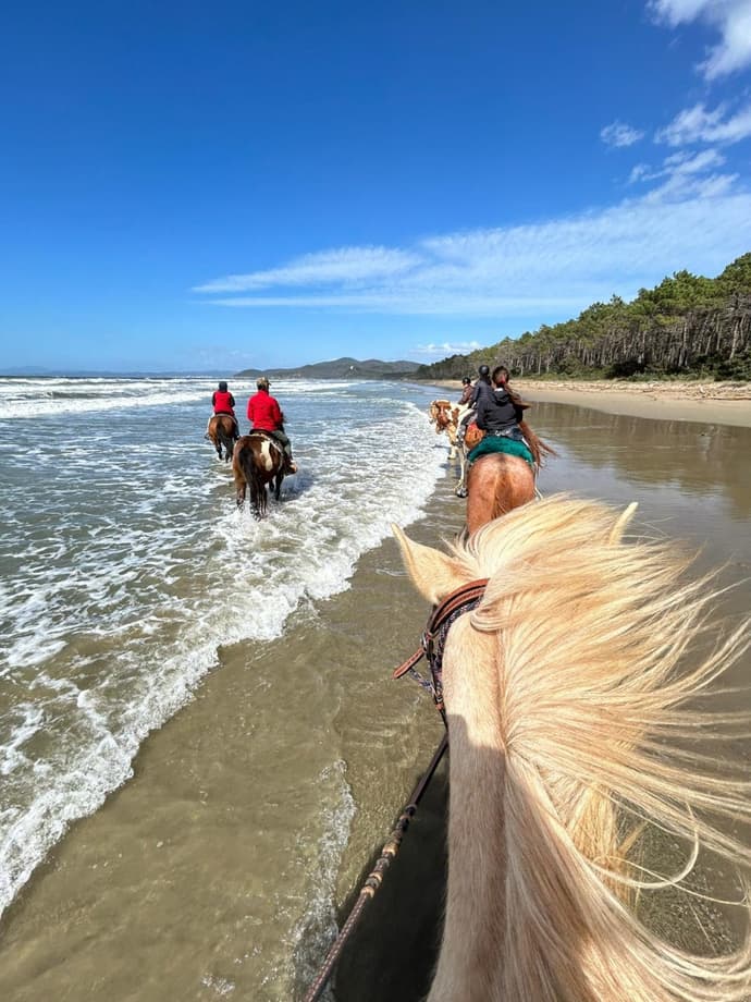 TUSCANY: CALA VIOLINA NATURAL RESERVE
