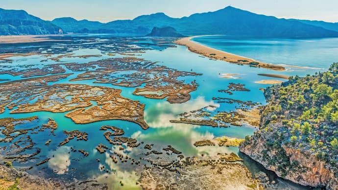 INTRA: Sabores del Mediterraneo