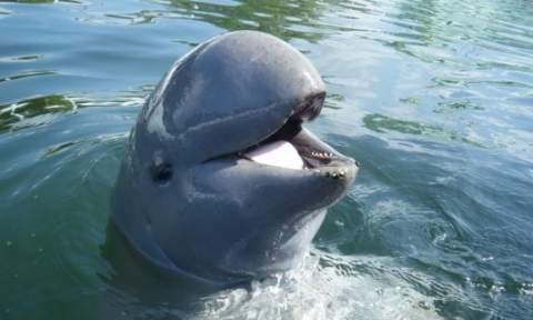 Laos Tour from Pakbeng 8 Days - Departure on Thursday