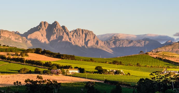 Highlights of South Africa's Winelands