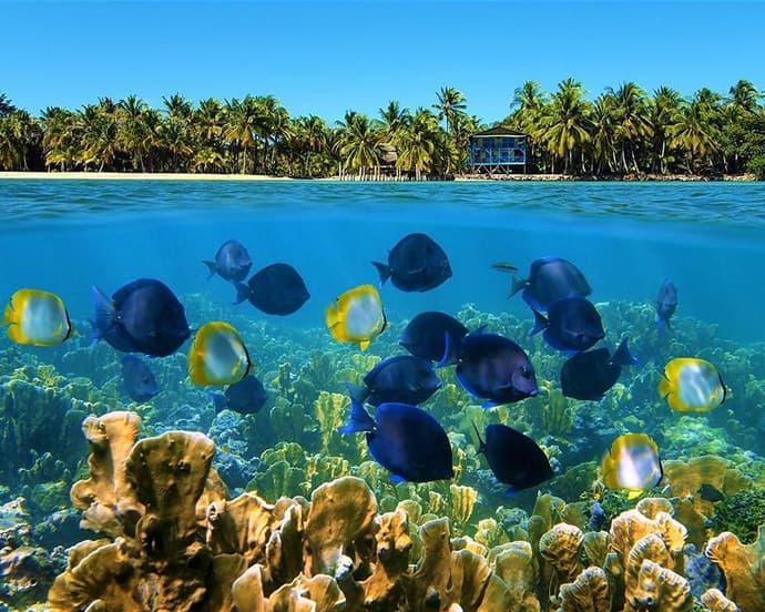 PANAMÁ+ BOCAS DEL TORO & SAN BLAS 2024