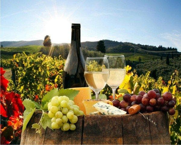 Alojamento Gratuito na Rota do Alvarinho