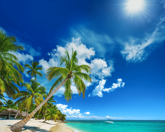 MTPE-51008 PUNTA CANA