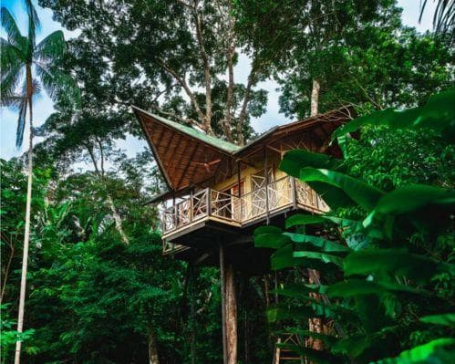 Amazon Burú Nature Plan