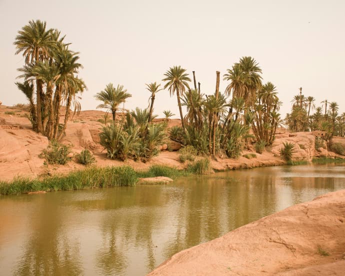 Private Kurztour "Magie der Wüste: Wahiba Sands Camp"