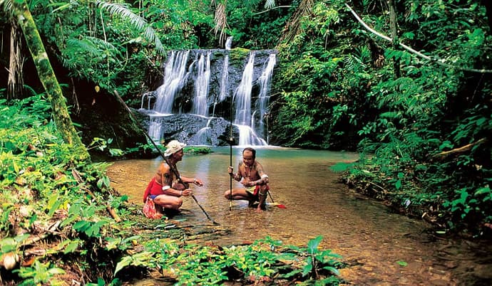 Rundreise "Die Natur Borneos"