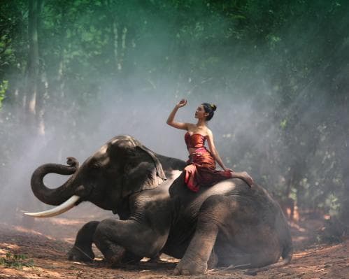 Circuito Tailândia - Março 25