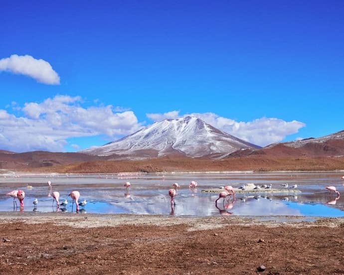 Bloqueo San Pedro de Atacama 05 Noches Vía SKY - Hotel Don Raul