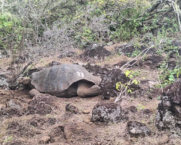  Santa Cruz & San Cristobal 5 days