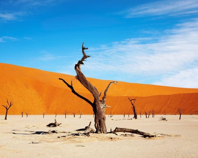 EXPLORE Namibia, Tra Due Deserti