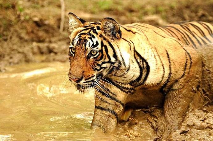 Rundreise "Buntes Rajasthan" 