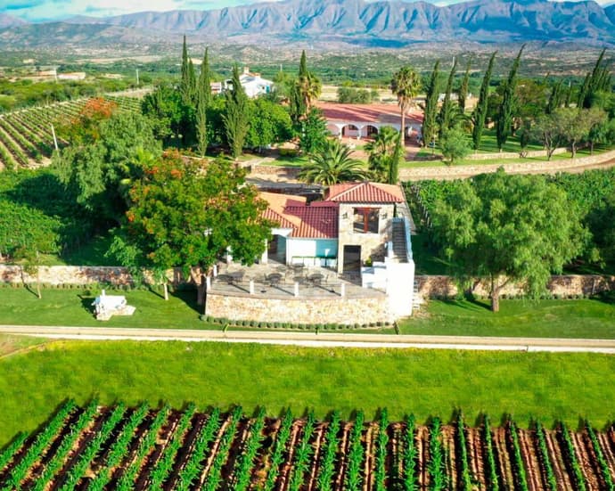 Ruta de Vino Premium en Tarija 