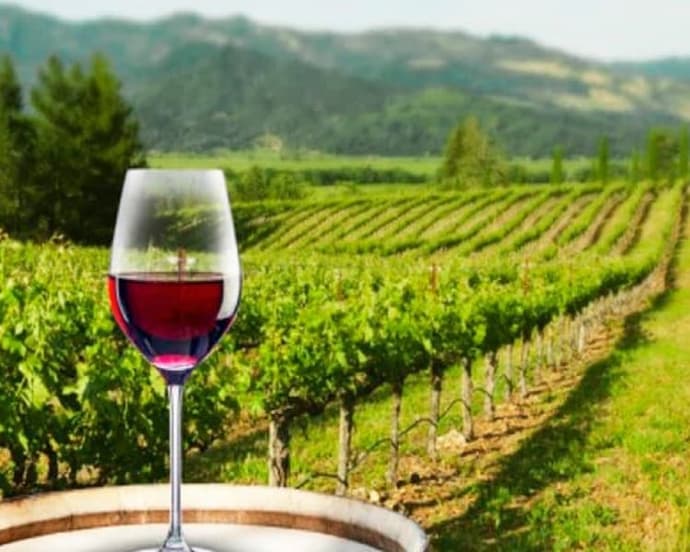 Paquete Romántico en Tarija, 4 días 3 noches