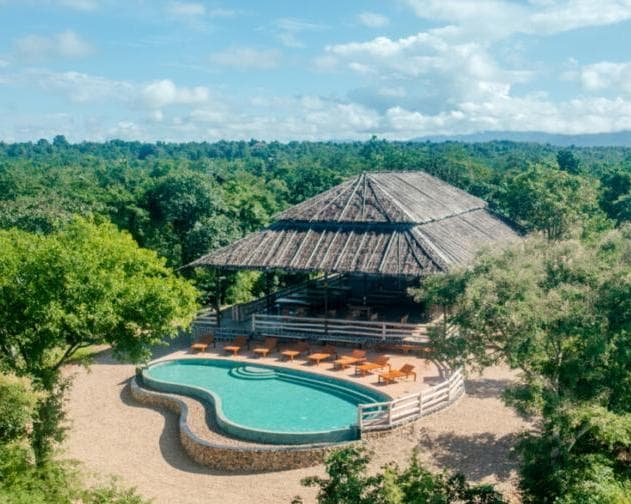 Kurztour "Elephant Bush Camp"