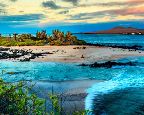 Galápagos a tu alcance (8 días)