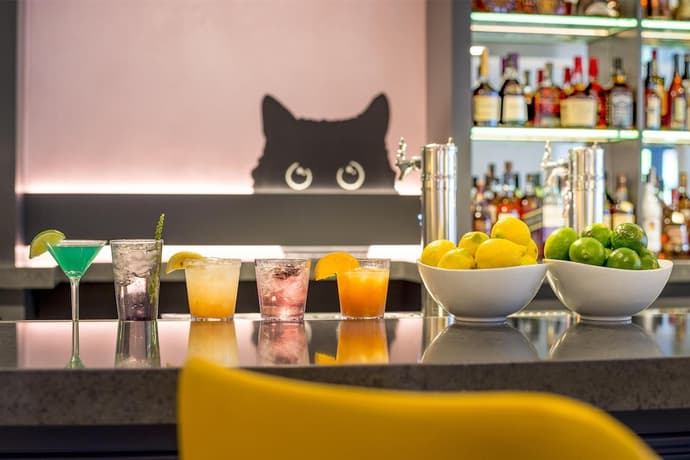 Warwick Denver, Primary image