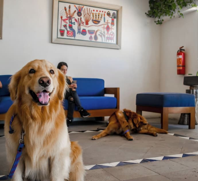 Puerto de Luna Pet Friendly & Family Suites Hotel, Primary image