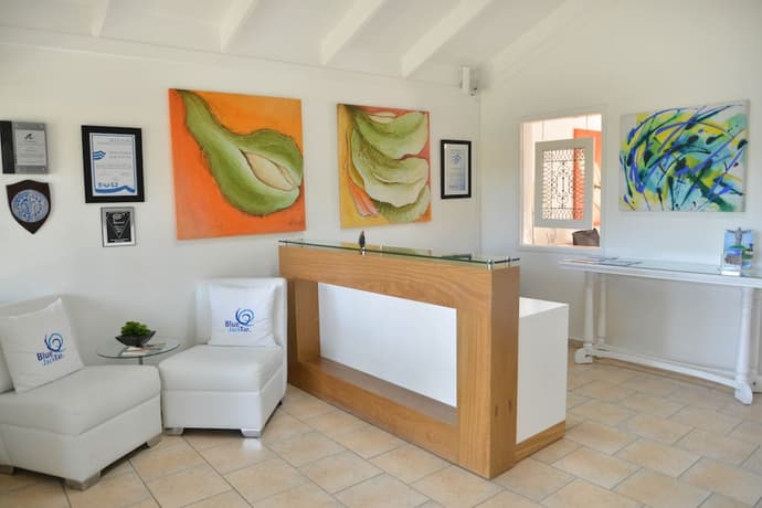 Blue JackTar, Reception