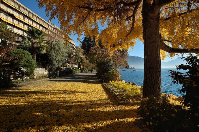 Royal Plaza Montreux, Primary image