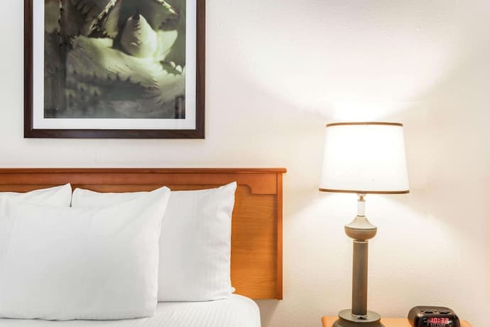 La Quinta Inn & Suites by Wyndham Orlando South, Room