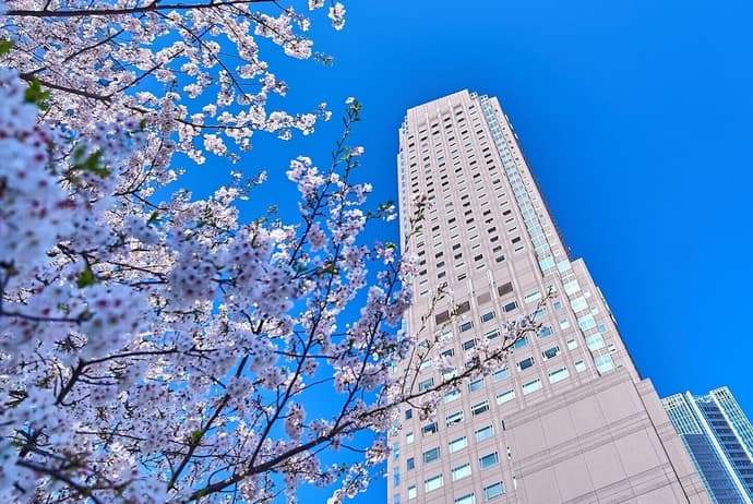 Cerulean Tower Tokyu Hotel, Primary image