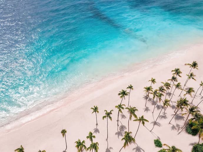 Hyatt Vivid Punta Cana - All Inclusive - Adults Only, Primary image