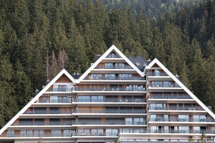 Crans Ambassador, Primary image