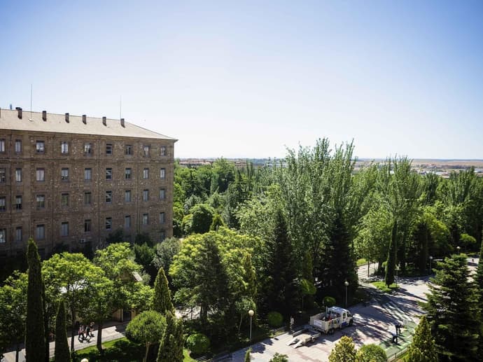 ibis Salamanca, Primary image