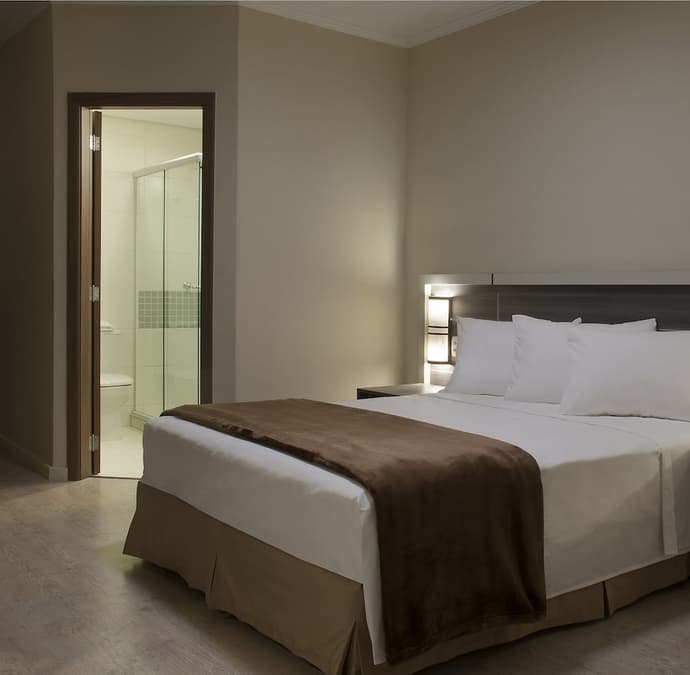 Master Express Dom Pedro II, Primary image