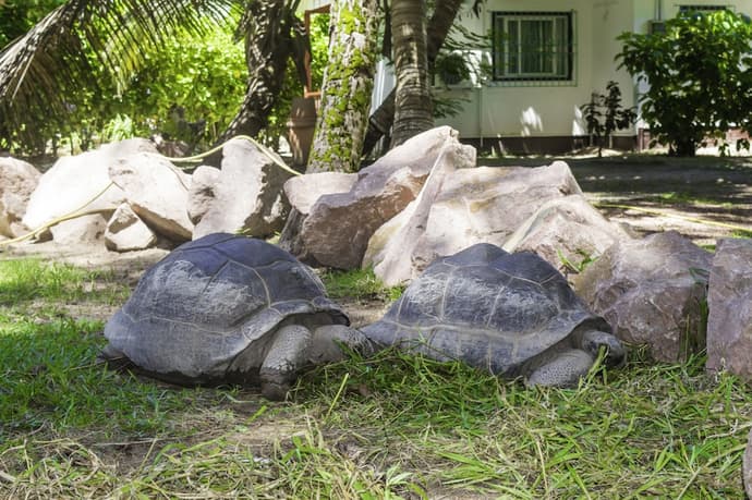 Hotel Cote d'Or Lodge, Primary image