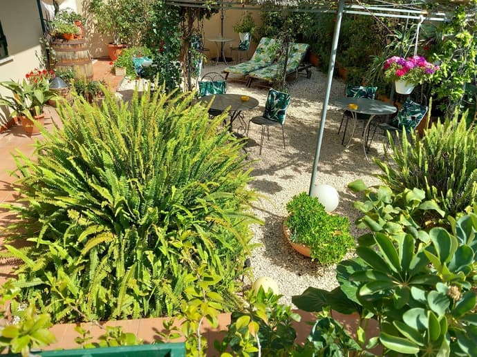 B&B Rosangela, Primary image