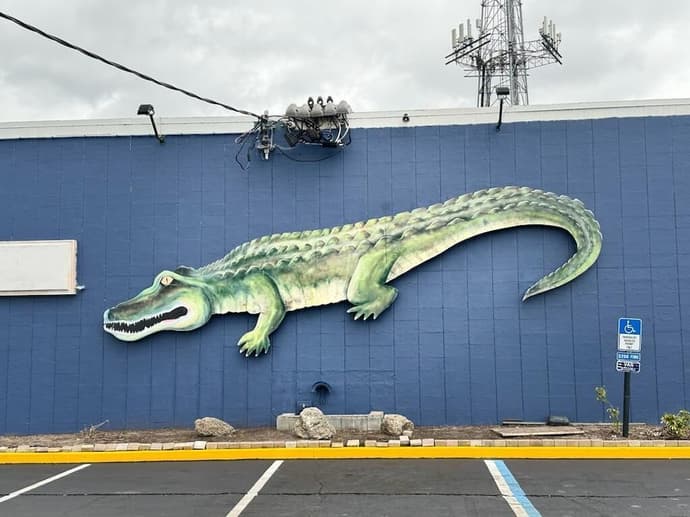 Midtown Lodge, Primary image