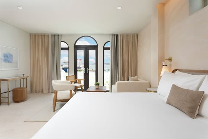 Alma San Juan, Primary image