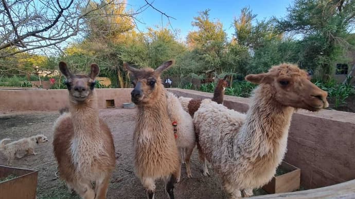Ckoi Atacama Lodge, Primary image