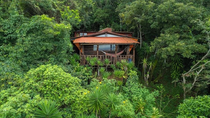 El Sol Monteverde, Primary image