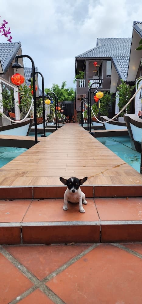 Hoi An Coco Bungalows, Primary image