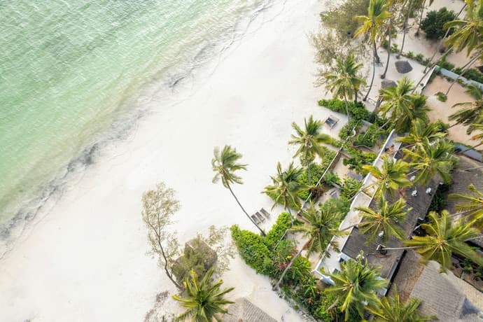 Surfescape Zanzibar, Primary image